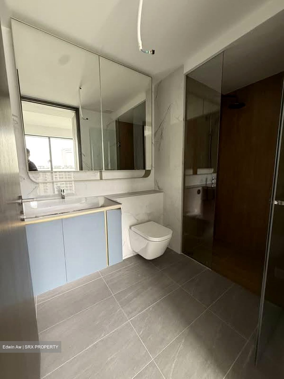Amo Residence (D20), Apartment #558446471